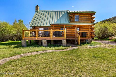 Tiny photo for 4 N 1314, Greer, AZ 85927 (MLS # 261260)