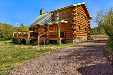 Tiny photo for 4 N 1314, Greer, AZ 85927 (MLS # 261260)