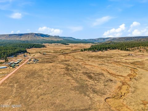 Tiny photo for Lot 23 The Ranch at Alpine, Alpine, AZ 85920 (MLS # 258740)