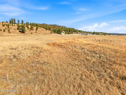 Tiny photo for Lot 23 The Ranch at Alpine, Alpine, AZ 85920 (MLS # 258740)