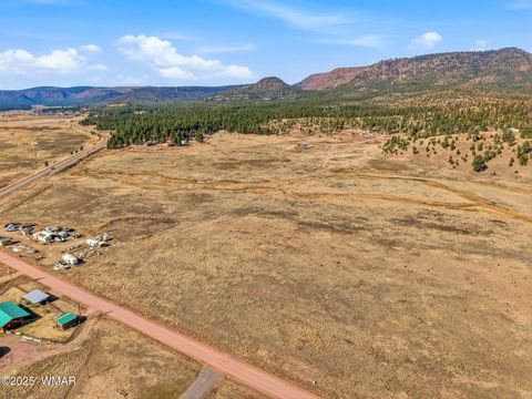 Tiny photo for Lot 23 The Ranch at Alpine, Alpine, AZ 85920 (MLS # 258740)