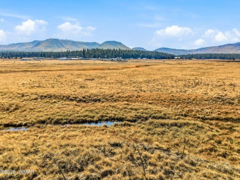 Tiny photo for Lot 23 The Ranch at Alpine, Alpine, AZ 85920 (MLS # 258740)