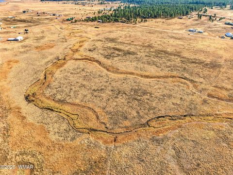 Tiny photo for Lot 23 The Ranch at Alpine, Alpine, AZ 85920 (MLS # 258740)