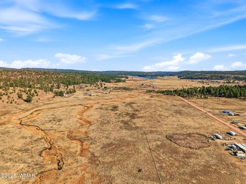 Tiny photo for Lot 23 The Ranch at Alpine, Alpine, AZ 85920 (MLS # 258740)