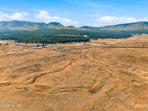 Tiny photo for Lot 23 The Ranch at Alpine, Alpine, AZ 85920 (MLS # 258740)