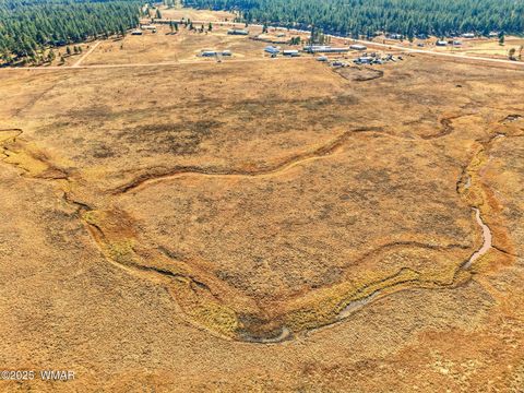 Tiny photo for Lot 23 The Ranch at Alpine, Alpine, AZ 85920 (MLS # 258740)