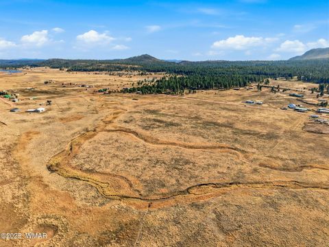 Tiny photo for Lot 23 The Ranch at Alpine, Alpine, AZ 85920 (MLS # 258740)