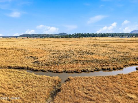 Tiny photo for Lot 23 The Ranch at Alpine, Alpine, AZ 85920 (MLS # 258740)