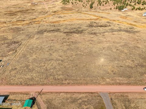 Tiny photo for Lot 23 The Ranch at Alpine, Alpine, AZ 85920 (MLS # 258740)