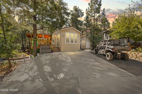 Photo of 3731 S Mule Skinner Loop, Show Low, AZ 85901 (MLS # 262069)