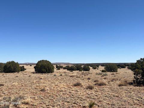 Tiny photo for Lot 140 5525, Concho, AZ 85924 (MLS # 259033)
