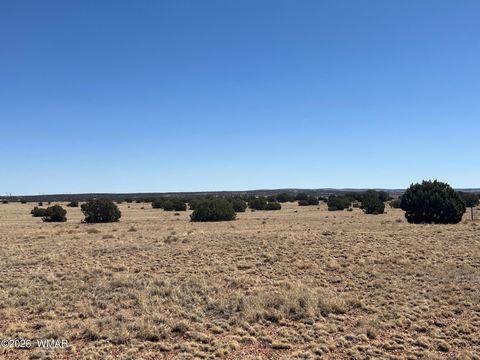 Tiny photo for Lot 140 5525, Concho, AZ 85924 (MLS # 259033)