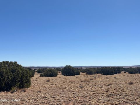 Tiny photo for Lot 140 5525, Concho, AZ 85924 (MLS # 259033)