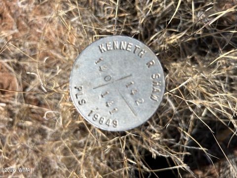 Tiny photo for Lot 140 5525, Concho, AZ 85924 (MLS # 259033)