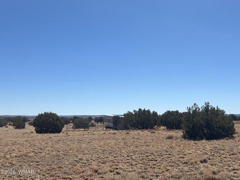 Tiny photo for Lot 140 5525, Concho, AZ 85924 (MLS # 259033)