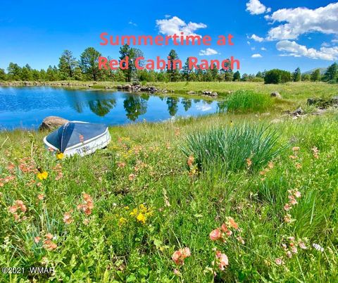 Tiny photo for Lot 10 Red Cabin Ranch, Vernon, AZ 85940 (MLS # 253379)