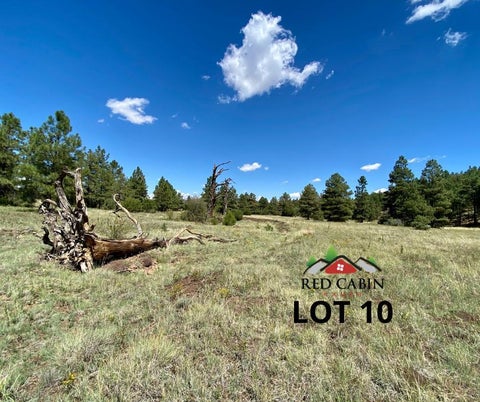 Tiny photo for Lot 10 Red Cabin Ranch, Vernon, AZ 85940 (MLS # 253379)