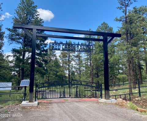 Tiny photo for Lot 10 Red Cabin Ranch, Vernon, AZ 85940 (MLS # 253379)