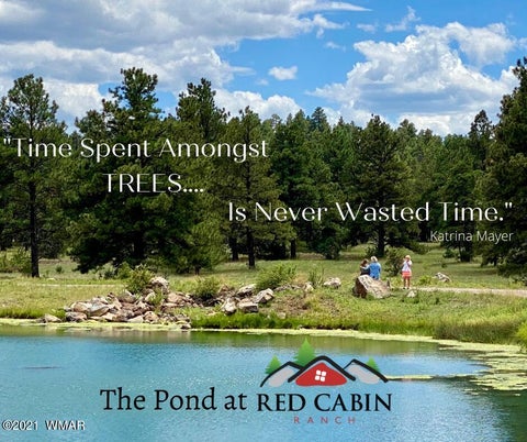 Tiny photo for Lot 10 Red Cabin Ranch, Vernon, AZ 85940 (MLS # 253379)