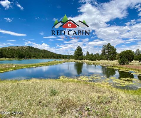 Tiny photo for Lot 10 Red Cabin Ranch, Vernon, AZ 85940 (MLS # 253379)