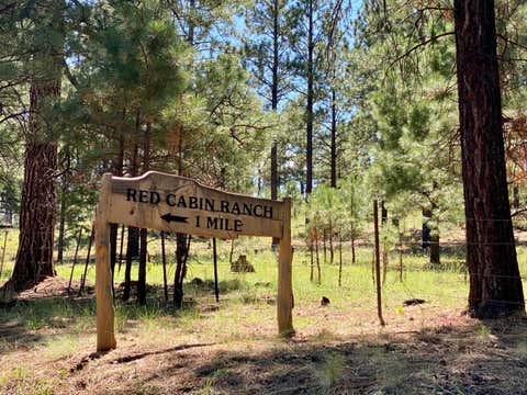 Tiny photo for Lot 10 Red Cabin Ranch, Vernon, AZ 85940 (MLS # 253379)