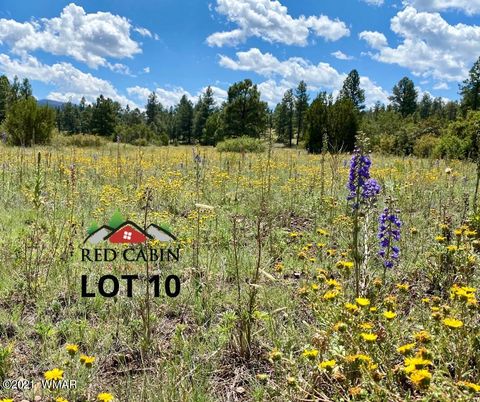 Photo of Lot 10 Red Cabin Ranch, Vernon, AZ 85940 (MLS # 253379)