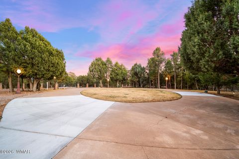 Tiny photo for 2940 Constellation Lane, Overgaard, AZ 85933 (MLS # 260023)