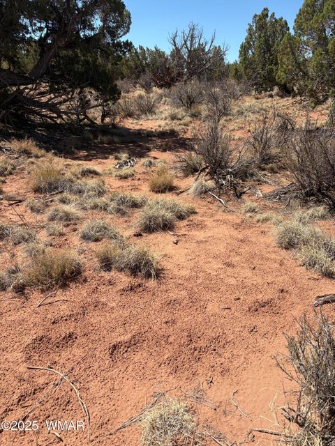 Tiny photo for 438B Yaqui Dr, Snowflake, AZ 85937 (MLS # 257307)