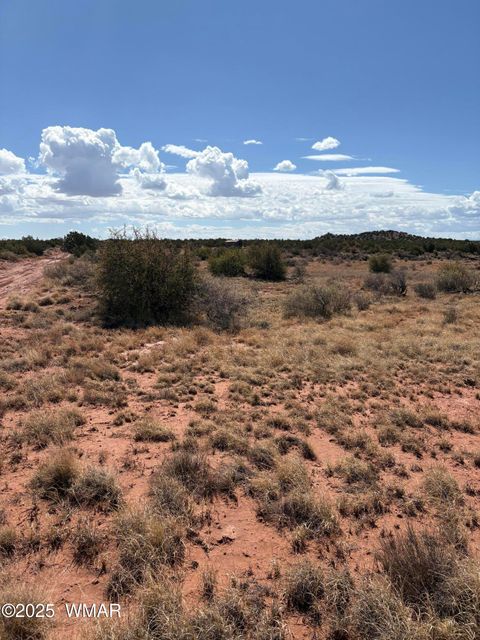 Photo of 438B Yaqui Dr, Snowflake, AZ 85937 (MLS # 257307)