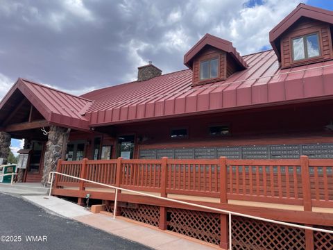 Tiny photo for 3881 S Mule Skinner Loop, Show Low, AZ 85901 (MLS # 260405)