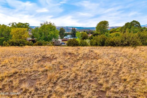 Tiny photo for 00 W Tbd 10th St, Eagar, AZ 85925 (MLS # 258136)