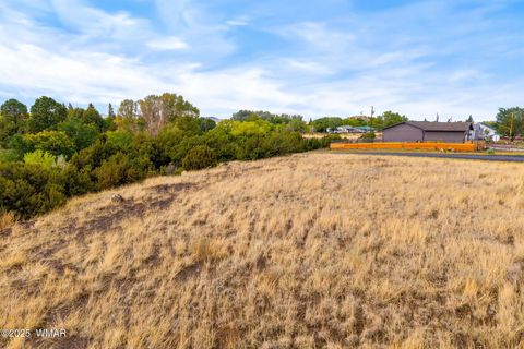 Photo of 00 W Tbd 10th St, Eagar, AZ 85925 (MLS # 258136)