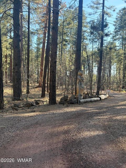 Photo of TBD 212-56-060F, Lakeside, AZ 85929 (MLS # 260563)
