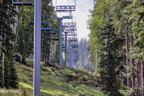 Tiny photo for 1460 S Adair Drive #6, Pinetop, AZ 85935 (MLS # 259150)