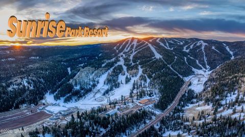 Tiny photo for 1460 S Adair Drive #6, Pinetop, AZ 85935 (MLS # 259150)