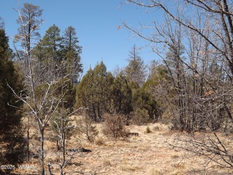 Tiny photo for 0004X Parcel 2 Section 31, Overgaard, AZ 85933 (MLS # 255100)