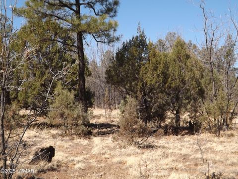Tiny photo for 0004X Parcel 2 Section 31, Overgaard, AZ 85933 (MLS # 255100)