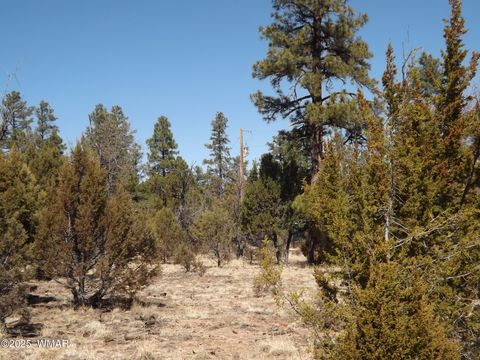 Photo of 0004X Parcel 2 Section 31, Overgaard, AZ 85933 (MLS # 255100)