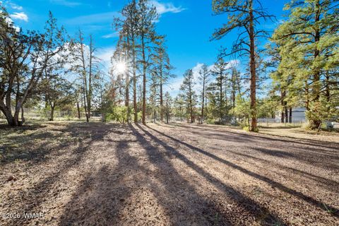 Tiny photo for 1381 N 25th Way, Show Low, AZ 85901 (MLS # 261256)
