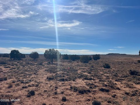 Tiny photo for 3635 Bull Hollow Road, Snowflake, AZ 85937 (MLS # 259189)