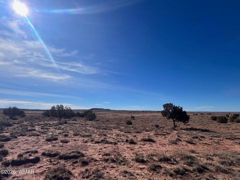 Tiny photo for 3635 Bull Hollow Road, Snowflake, AZ 85937 (MLS # 259189)