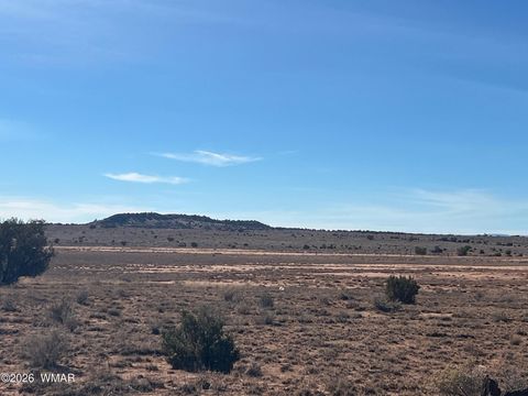 Tiny photo for 3635 Bull Hollow Road, Snowflake, AZ 85937 (MLS # 259189)