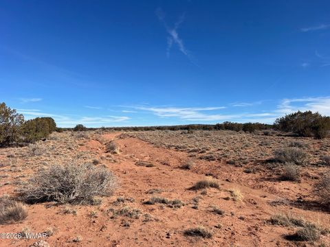 Tiny photo for 3635 Bull Hollow Road, Snowflake, AZ 85937 (MLS # 259189)