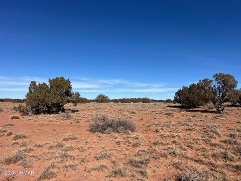 Photo of 3635 Bull Hollow Road, Snowflake, AZ 85937 (MLS # 259189)