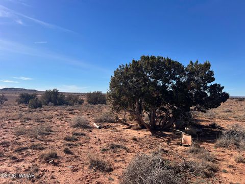 Tiny photo for 3635 Bull Hollow Road, Snowflake, AZ 85937 (MLS # 259189)