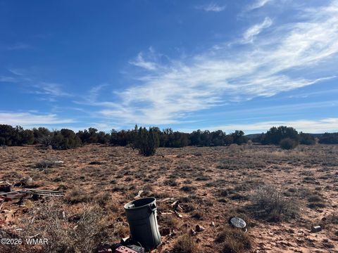 Tiny photo for 3635 Bull Hollow Road, Snowflake, AZ 85937 (MLS # 259189)