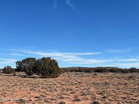 Tiny photo for 3635 Bull Hollow Road, Snowflake, AZ 85937 (MLS # 259189)