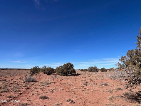 Tiny photo for 3635 Bull Hollow Road, Snowflake, AZ 85937 (MLS # 259189)