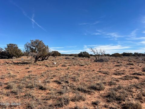Tiny photo for 3635 Bull Hollow Road, Snowflake, AZ 85937 (MLS # 259189)