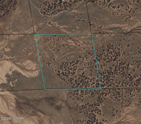 Tiny photo for 3635 Bull Hollow Road, Snowflake, AZ 85937 (MLS # 259189)